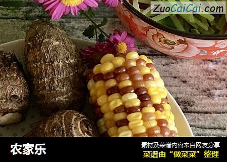 农家乐