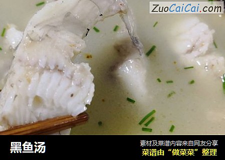 黑鱼汤