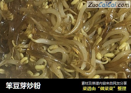 笨豆芽炒粉