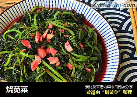 烧苋菜