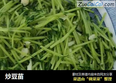 炒豆苗