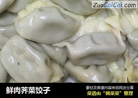 鲜肉荠菜饺子