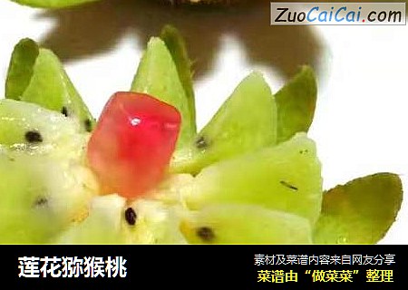 莲花猕猴桃