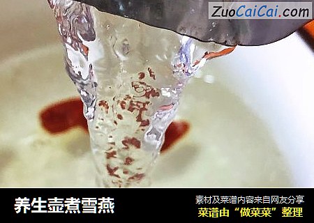 养生壶煮雪燕