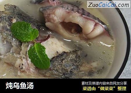 炖乌鱼汤