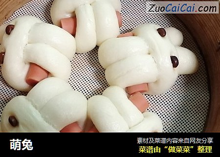 萌兔