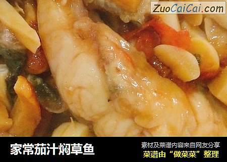 家常茄汁焖草鱼