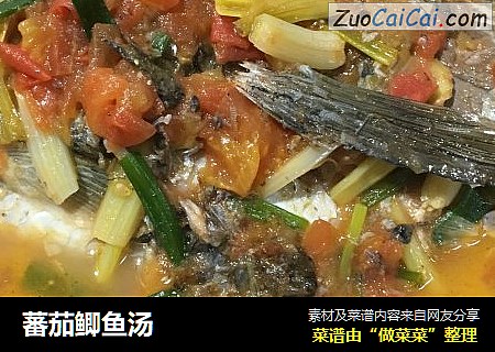 蕃茄鲫鱼汤