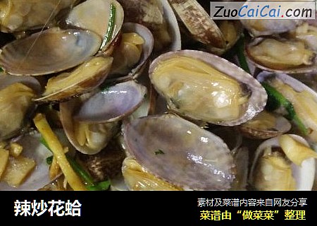 辣炒花蛤