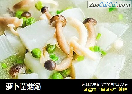 萝卜菌菇汤