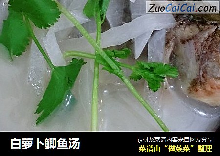 白萝卜鲫鱼汤