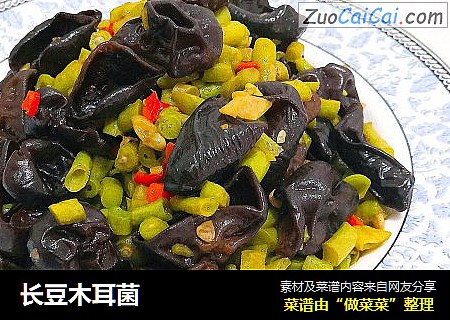 长豆木耳菌