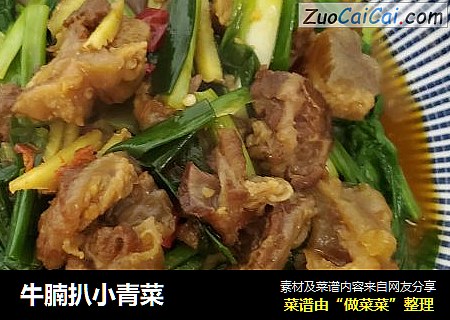牛腩扒小青菜