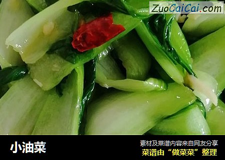 小油菜