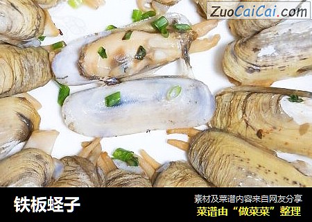 铁板蛏子