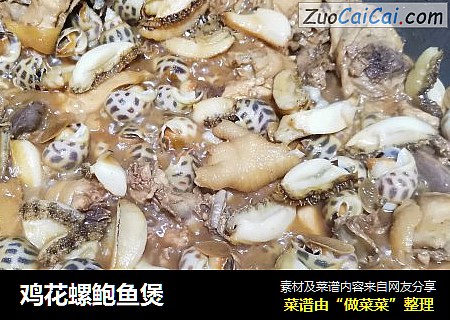 鸡花螺鲍鱼煲