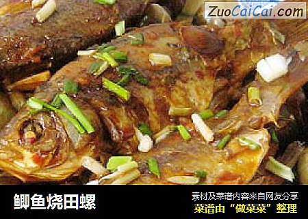鲫鱼烧田螺
