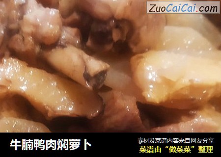 牛腩鸭肉焖萝卜