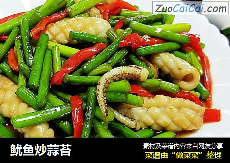 鱿鱼炒蒜苔