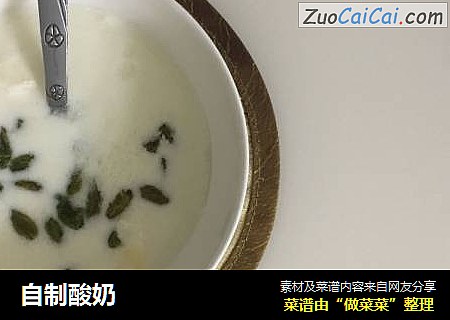 自制酸奶