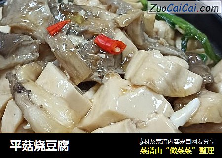 平菇烧豆腐