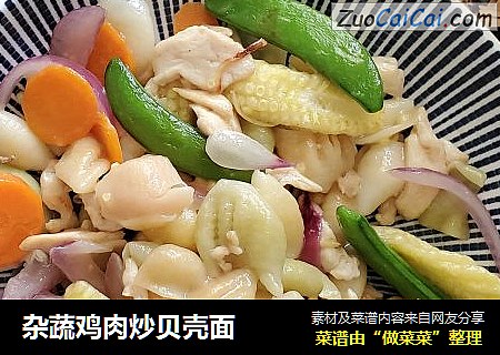 杂蔬鸡肉炒贝壳面