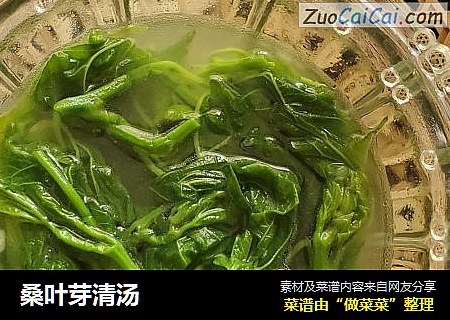 桑叶芽清汤