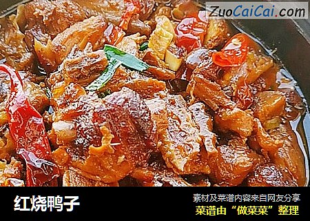 红烧鸭子