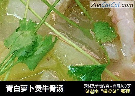 青白萝卜煲牛骨汤
