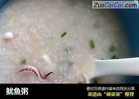 鱿鱼粥