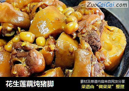 花生莲藕炖猪脚