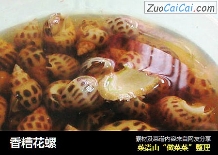 香糟花螺