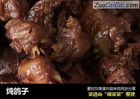 炖鸽子