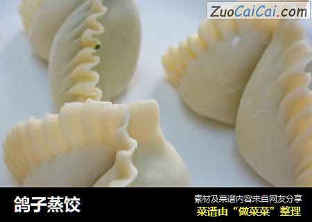 鸽子蒸饺