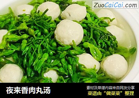 夜来香肉丸汤