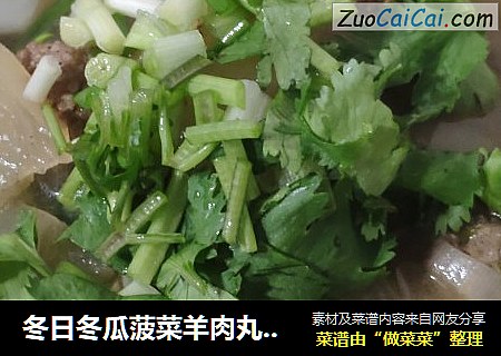 冬日冬瓜菠菜羊肉丸子汤
