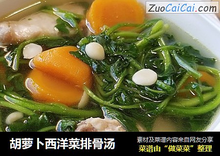 胡萝卜西洋菜排骨汤