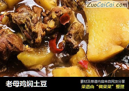 老母鸡焖土豆