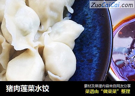 猪肉莲菜水饺