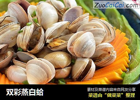 双彩蒸白蛤