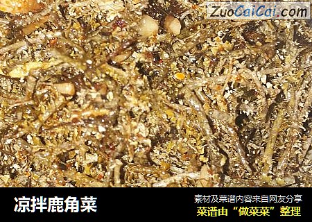 凉拌鹿角菜