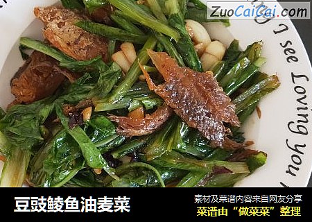 豆豉鲮鱼油麦菜