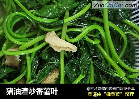 猪油渣炒番薯叶