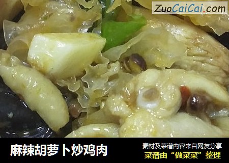 麻辣胡萝卜炒鸡肉