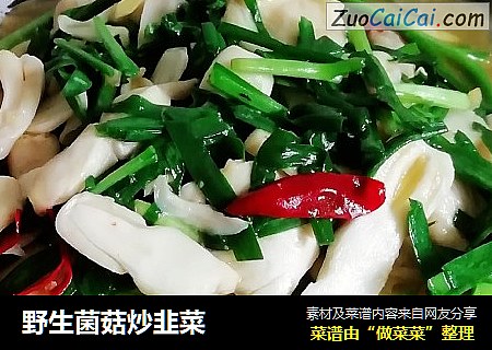 野生菌菇炒韭菜