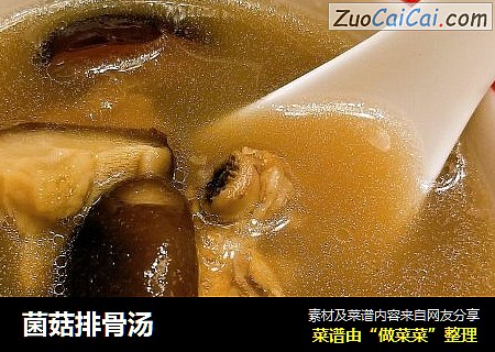 菌菇排骨汤