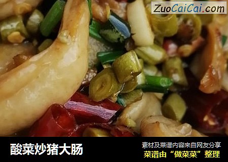酸菜炒猪大肠