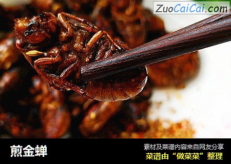 煎金蝉