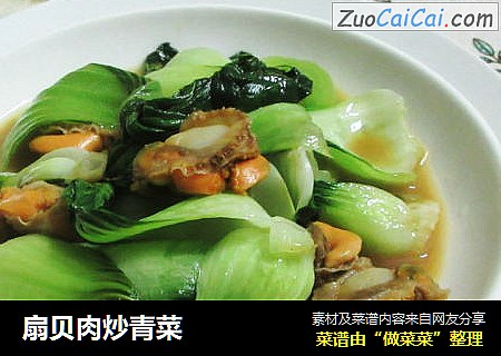 扇贝肉炒青菜