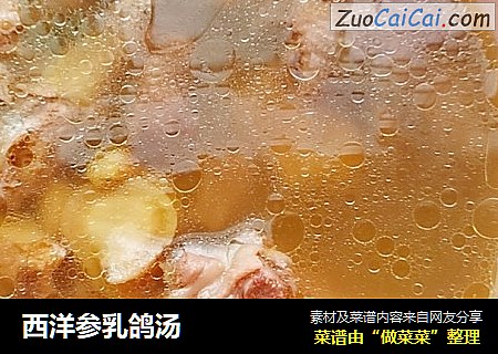 西洋参乳鸽汤